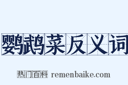 鹦鹉菜反义词是什么意思的图片